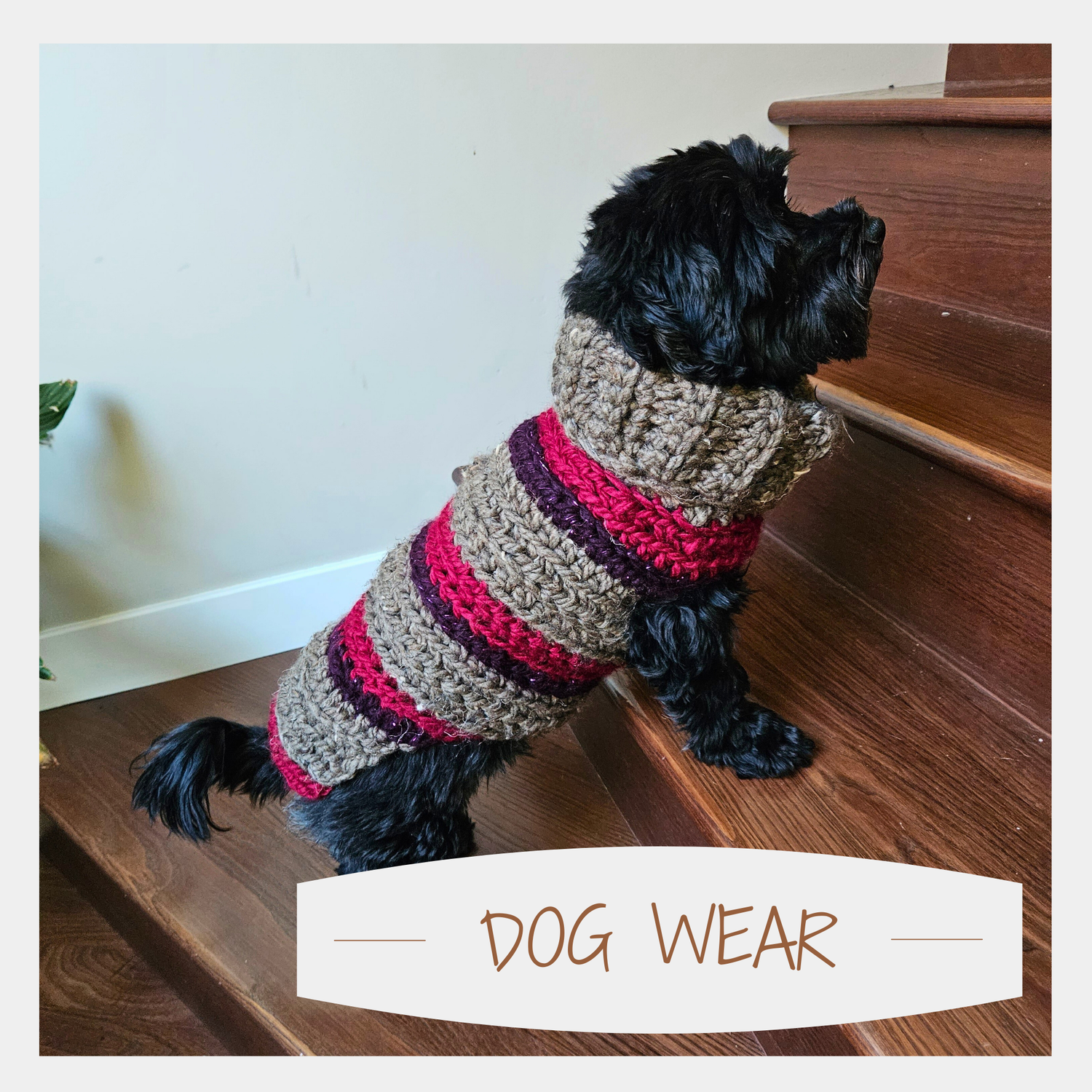 Dog Wear