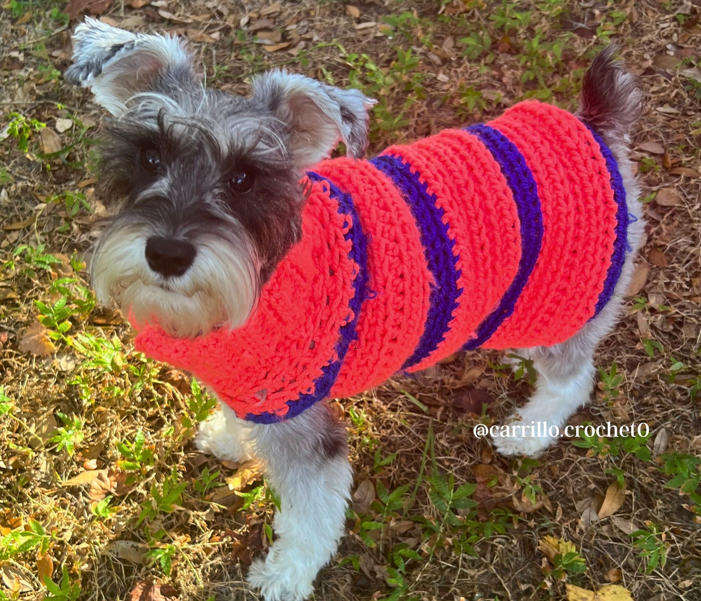 Cookie's Turtleneck Dog Crochet Sweater Pattern PDF