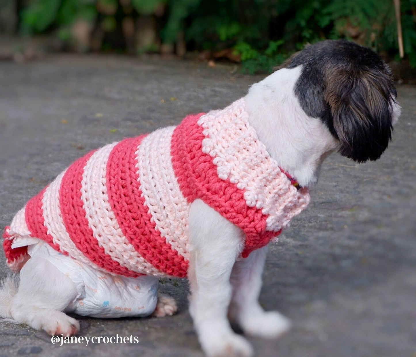 Cookie's Turtleneck Dog Crochet Sweater Pattern PDF