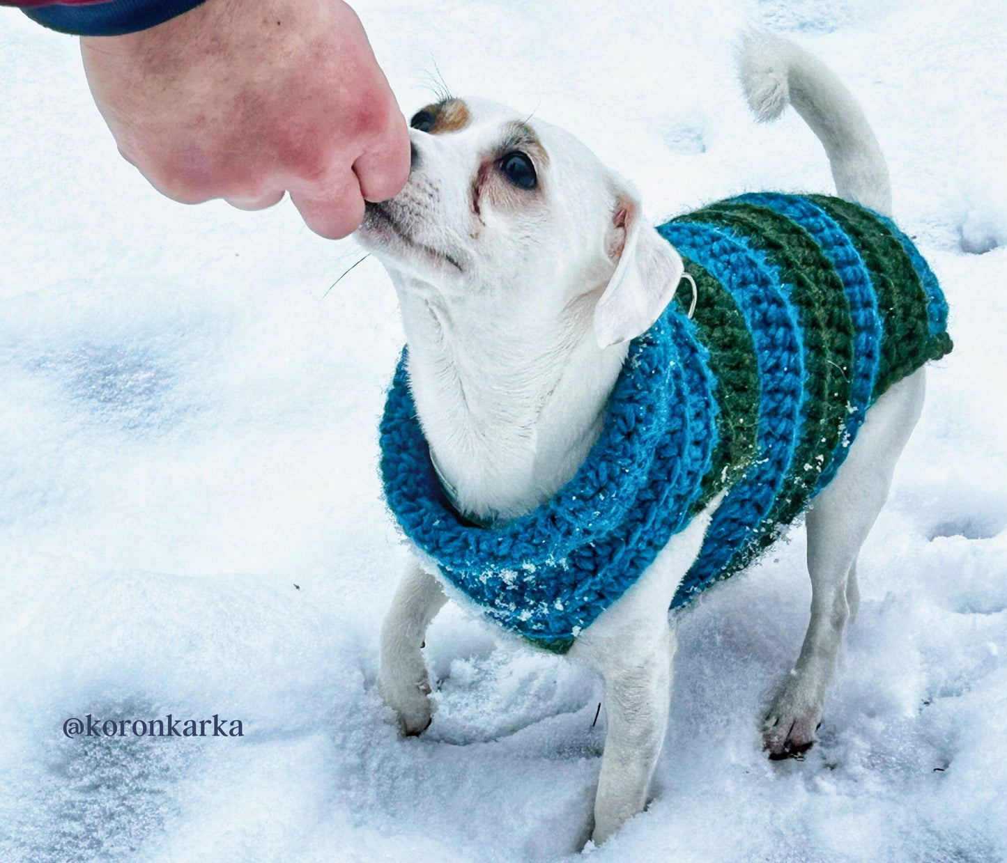 Cookie's Turtleneck Dog Crochet Sweater Pattern PDF