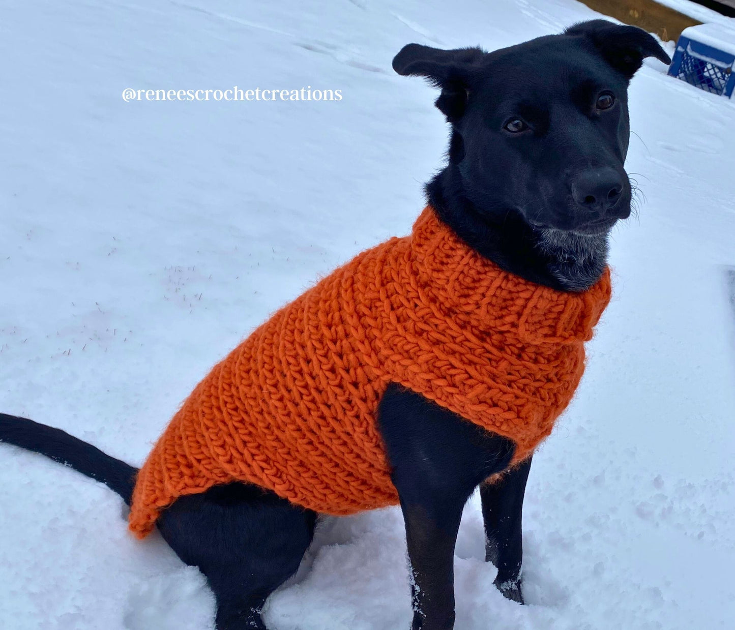 Cookie's Turtleneck Dog Crochet Sweater Pattern PDF