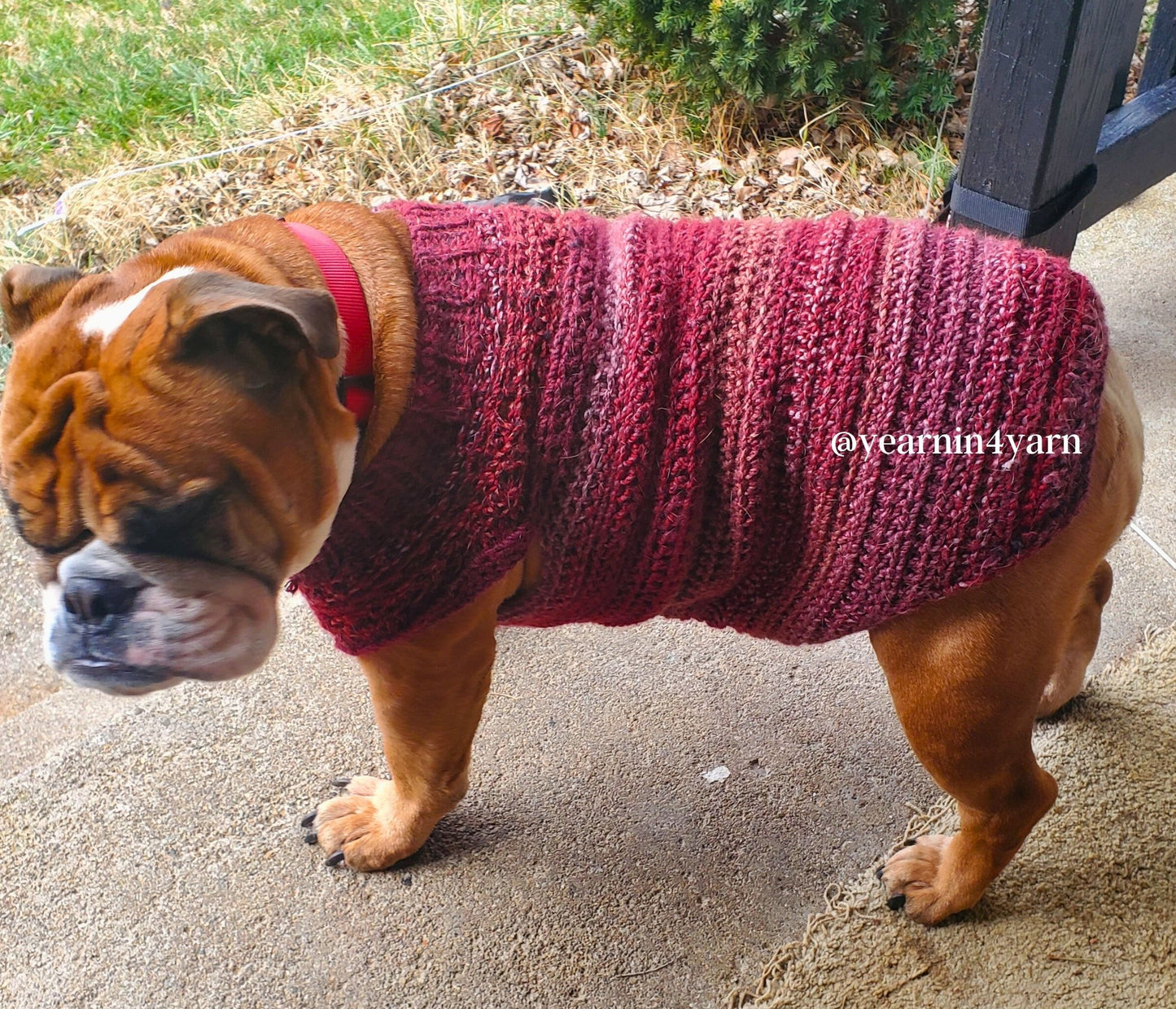 Cookie's Turtleneck Dog Crochet Sweater Pattern PDF