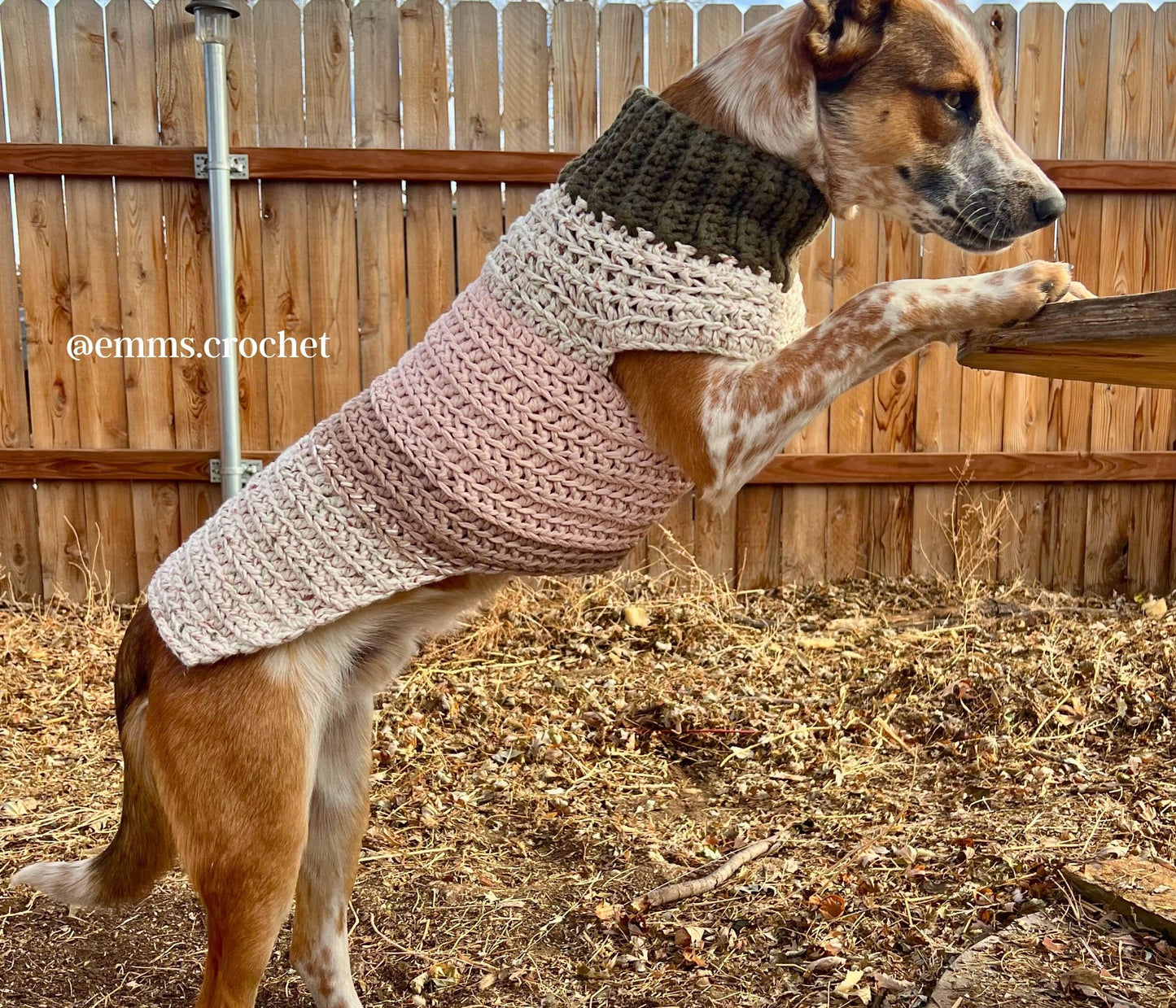 Cookie's Turtleneck Dog Crochet Sweater Pattern PDF