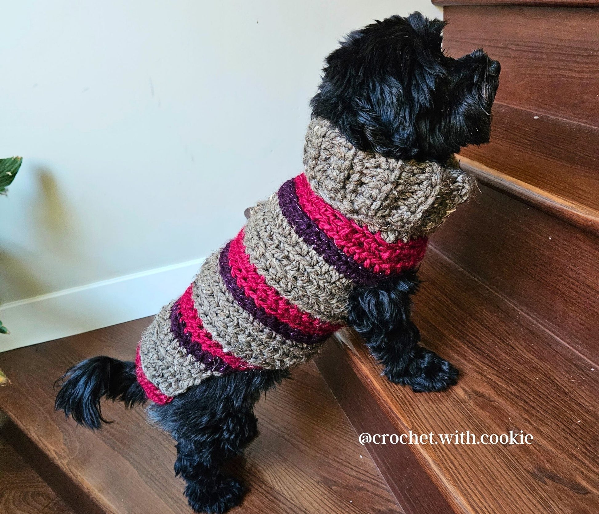 Cookie's Turtleneck Dog Crochet Sweater Pattern PDF – crochetwithcookie